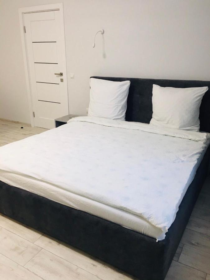 Apartment Edelweiss ウージュホロド エクステリア 写真